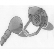 瑞士Spring AG 多控制聯(lián)軸器（定制）